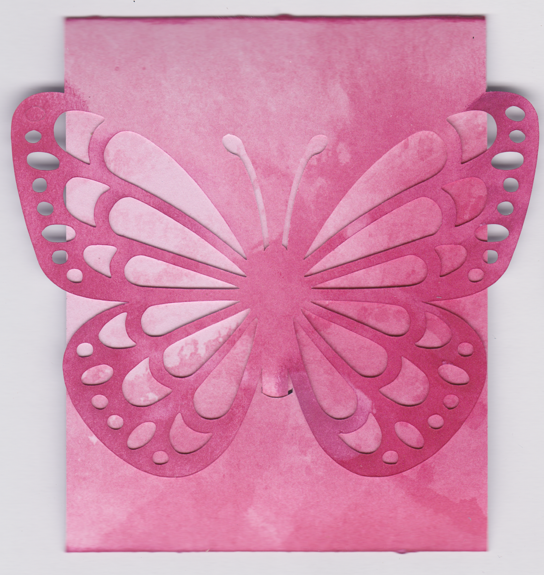 Gift Card Holders
